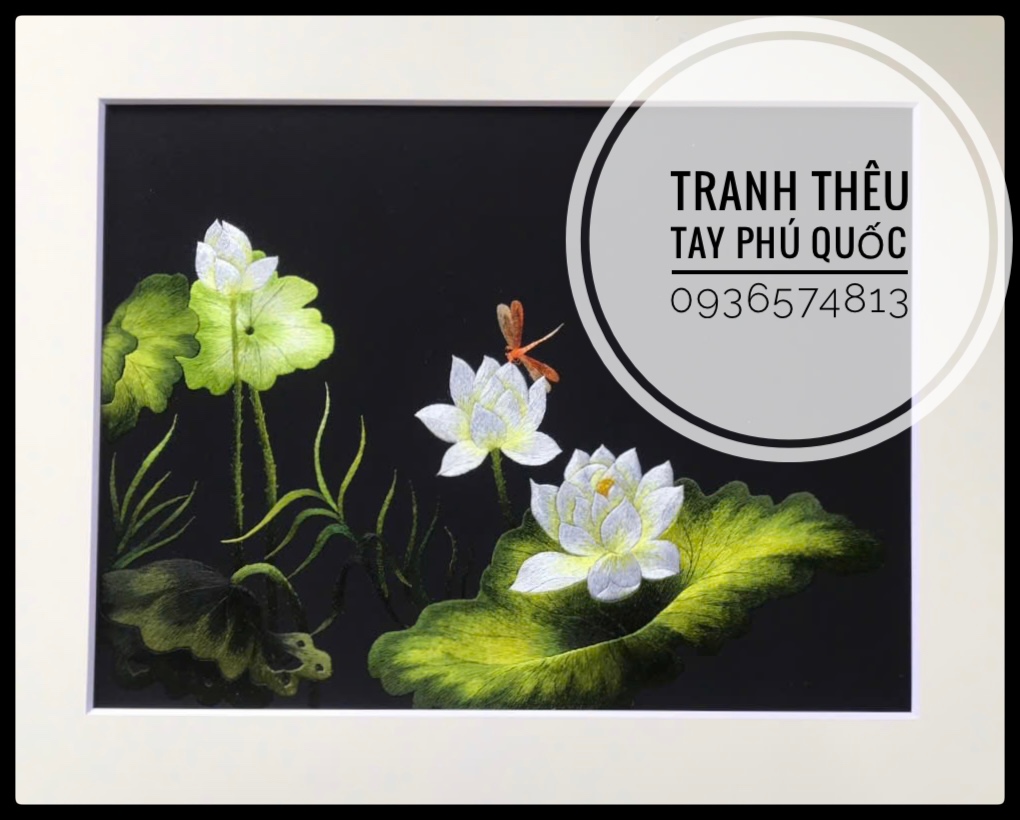 Hoa sen trắng 04